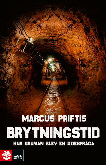 Brytningstid